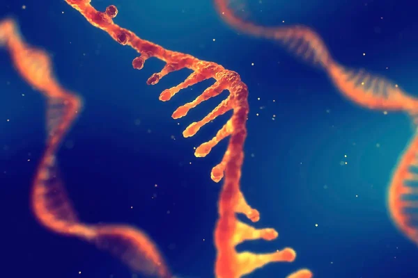 Genetikçiler, uzun zaman önce soyu tükenmiş bir canlıdan ilk kez RNA molekülleri izole etti