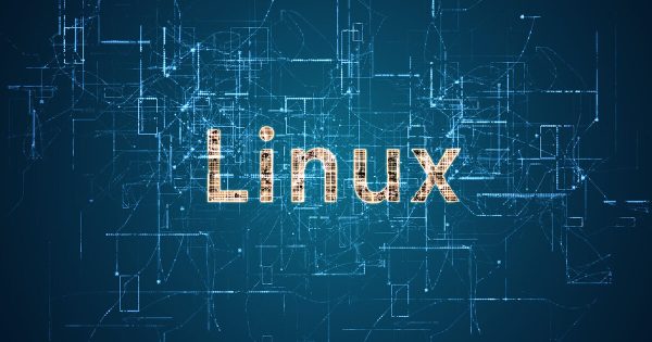 2024`e girerken en çok tercih edilen linux dağıtımları
